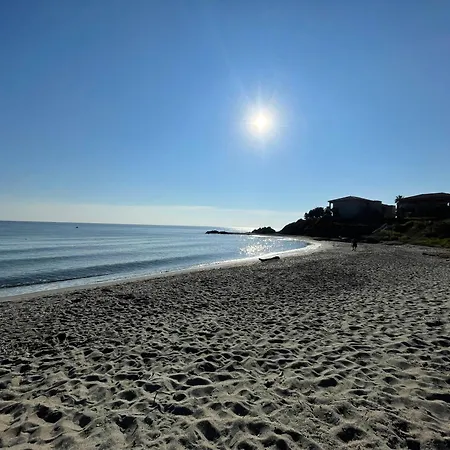 T3 Corse Vue Mer. Pieds Dans L'eau N164 Linguizzetta