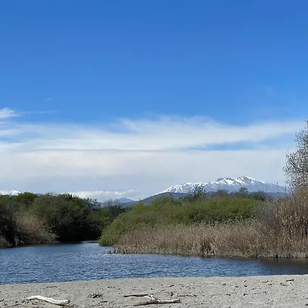 T3 Corse Vue Mer. Pieds Dans L'eau N164