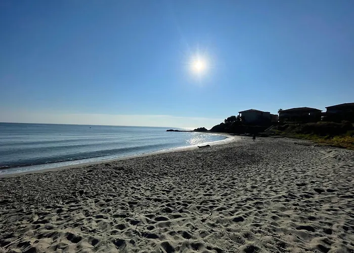 T3 Corse Vue Mer. Pieds Dans L'eau N164 Linguizzetta