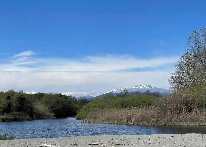 T3 Corse Vue Mer. Pieds Dans L'eau N164